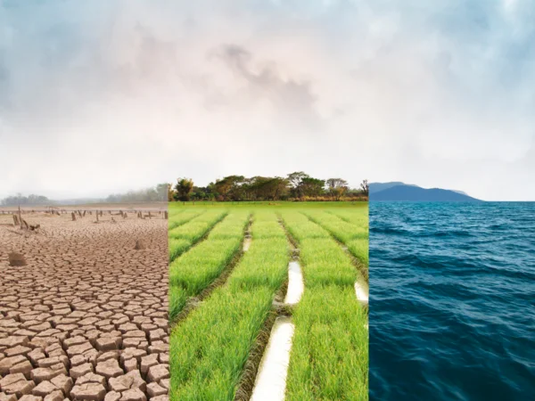 ¿Cómo ser Asesor medioambiental?